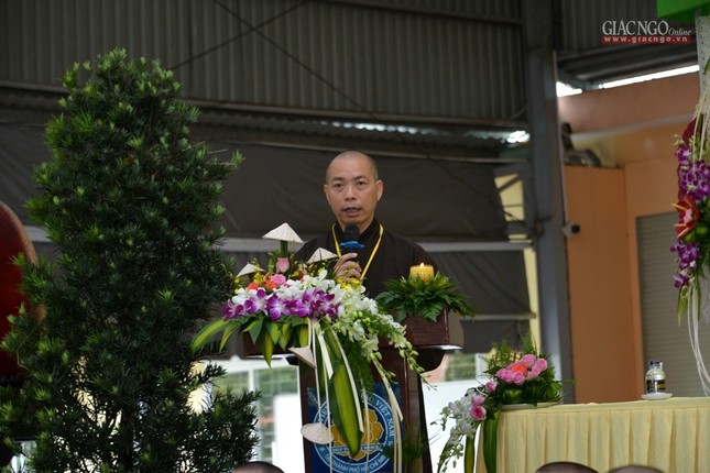 BTN_006.jpg