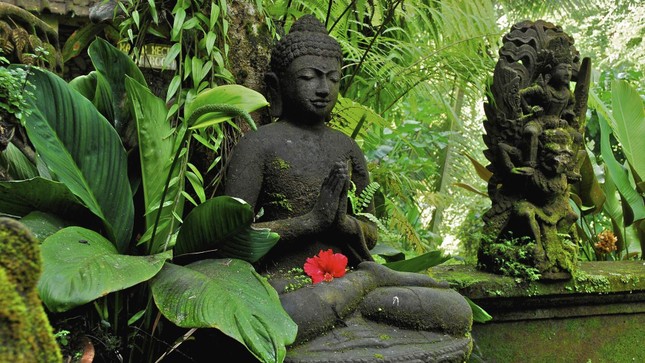 Buddha.jpg