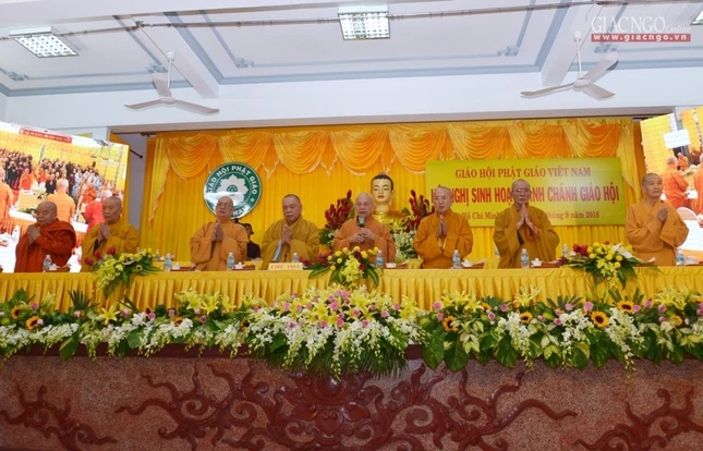 ANHAA (2).JPG