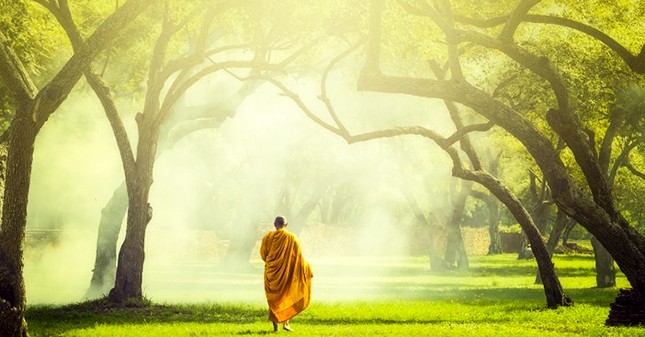 Sống thiện lành, chết bình an ảnh 1 hanhtrinhsanhtu.jpg