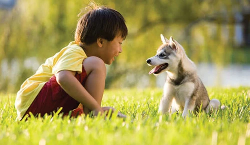 Quả báo hành hạ súc vật ảnh 1 triu men 2.jpg