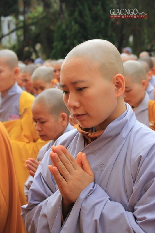 Trang nghiêm lễ khai mạc Đại giới đàn Đạo Quang ảnh 8 IMG_4358.jpg