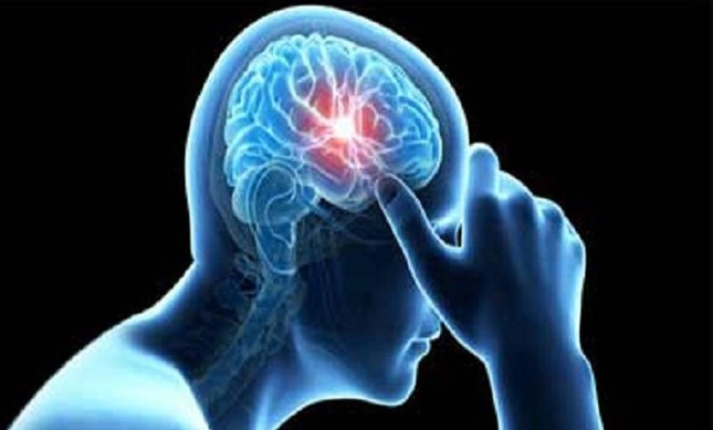 Say xỉn ảnh hưởng thế nào đến não bộ? ảnh 1 naobo.jpg