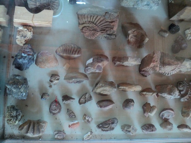 hinh xh GN973 (2).JPG