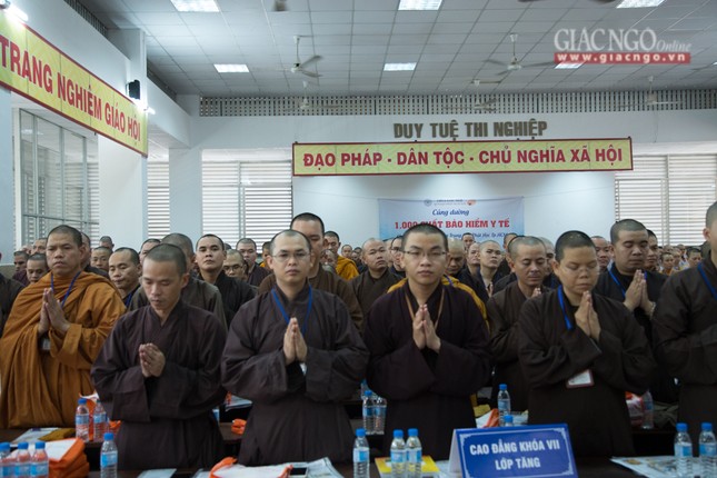 Trungcap2011 (2 of 6).JPG