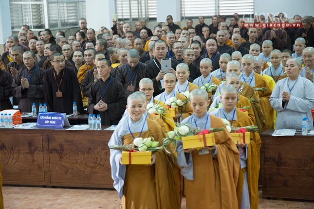 Trungcap2011 (5 of 6).JPG