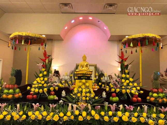 ToanDucnhapquan (11 of 13).jpg