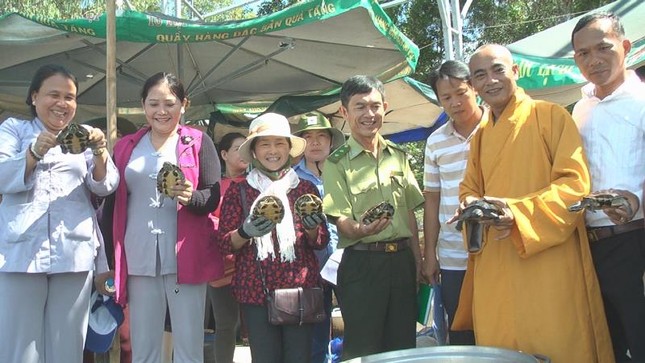 Cac con Rua da duoc kiem tra truoc  khi phong sanh.JPG