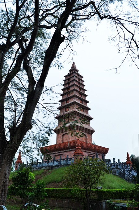 dsc_1417.jpg
