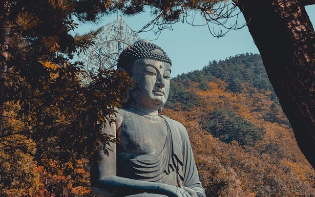 Hu khong muc (2).jpg