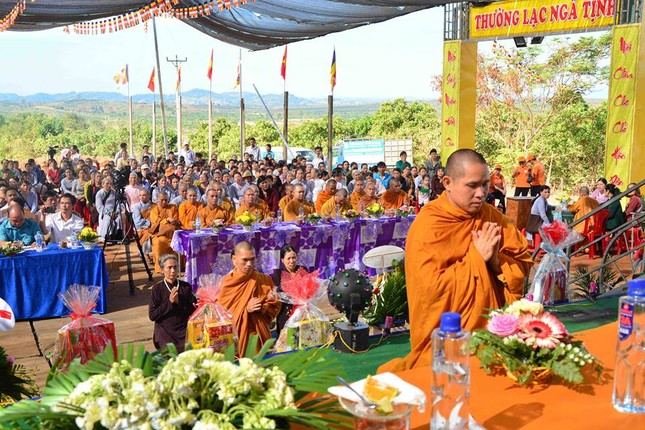 mnguyen 4.jpg