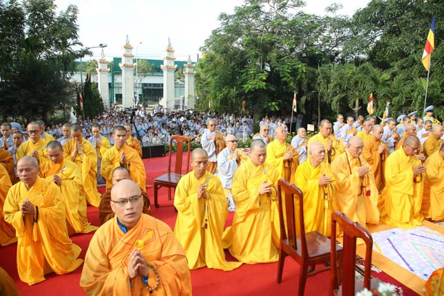 thanhdao2562 (45).jpg