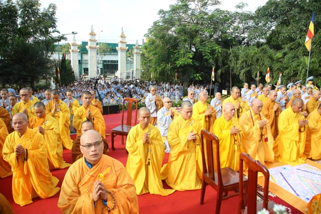 thanhdao2562 (45).jpg