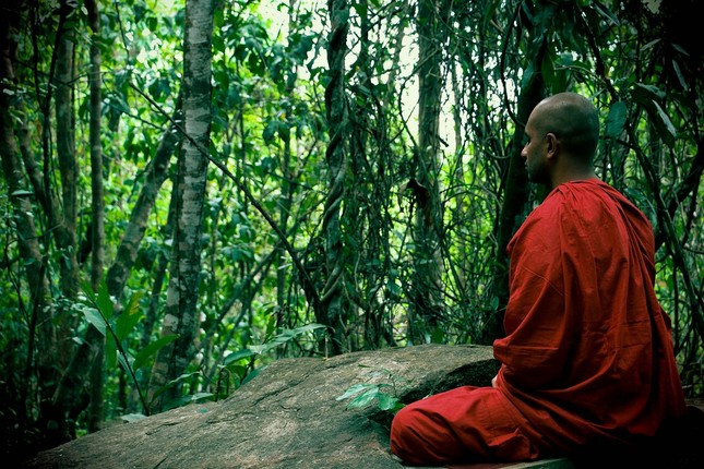 meditation_moine.jpg