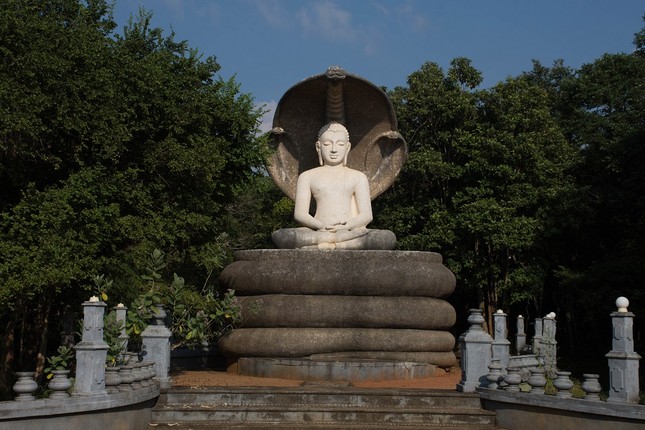 Buddha and nake.jpg