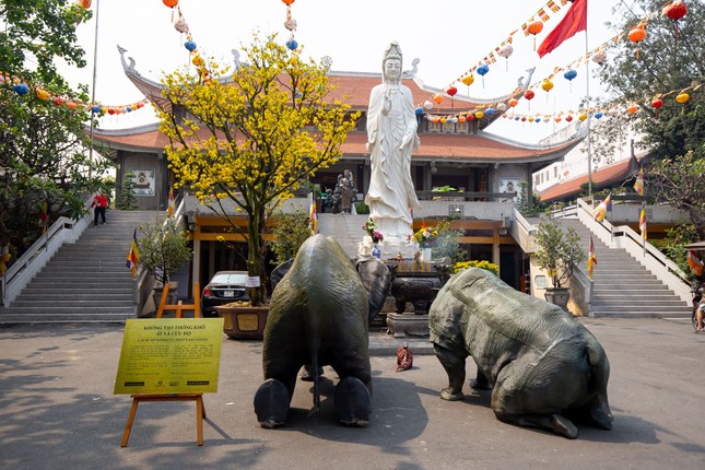 Bảo vệ động vật hoang dã khởi đi từ nhà chùa ảnh 3 4vn.jpg