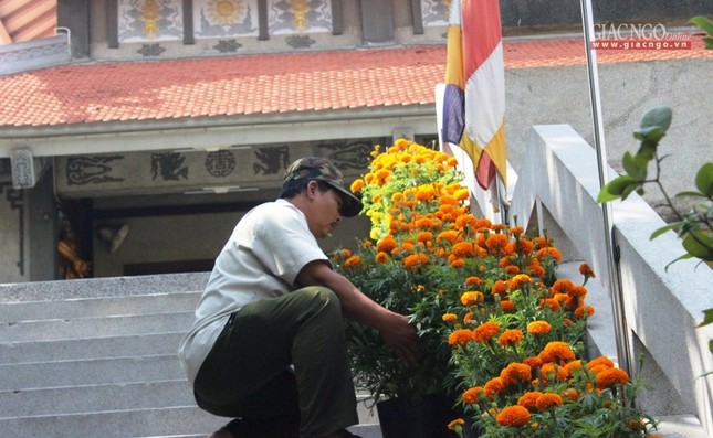 5vn.jpg