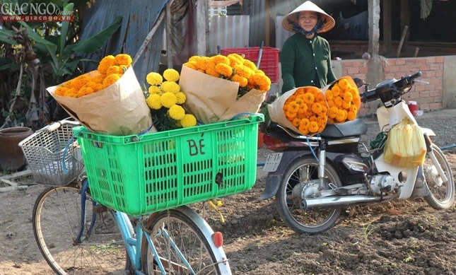 Rộn ràng Tết quê, chùa quê ảnh 7 tet.tran.1h.jpg