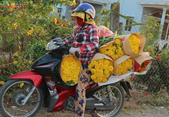 Rộn ràng Tết quê, chùa quê ảnh 8 tet.tran.1j.jpg
