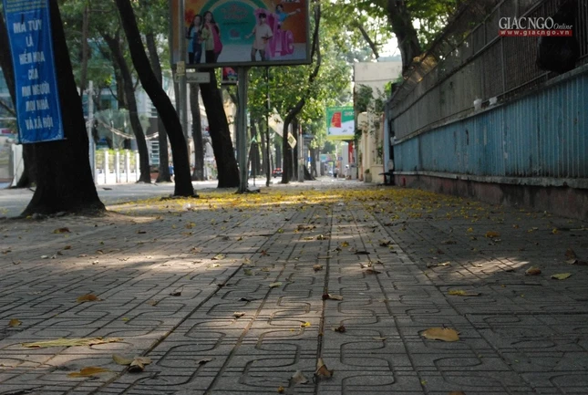 Sài Gòn tĩnh lặng ảnh 9 H11.jpg