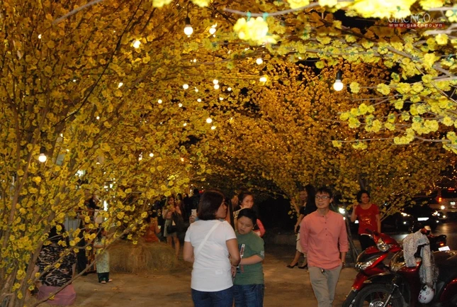 Sài Gòn tĩnh lặng ảnh 4 H6.jpg