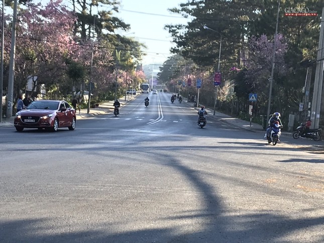 anh ngamhoa (23).jpg