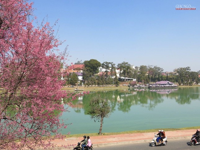 anh ngamhoa (47).jpg