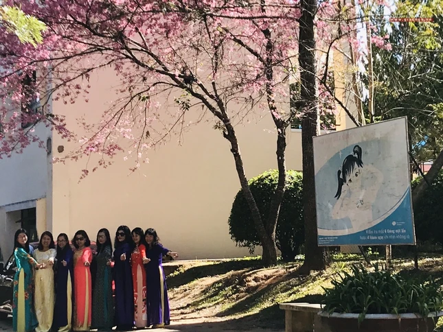 anh ngamhoa (52).jpg