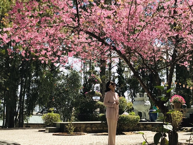 anh ngamhoa (56).jpg