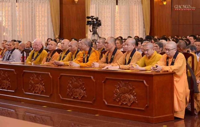 BTN_0106.JPG