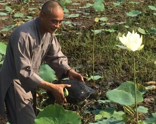 TT Quy tha Rua Rang quy hiem vao  Vuon QGTC.jpg