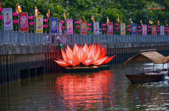 Ha thuy 7 doa sen - QATV (10).jpg