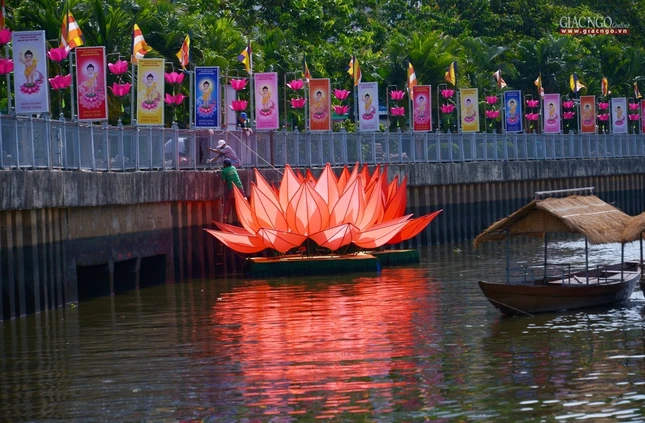 Ha thuy 7 doa sen - QATV (10).jpg