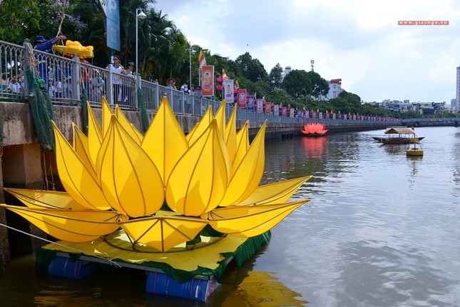 Ha thuy 7 doa sen - QATV (11).jpg