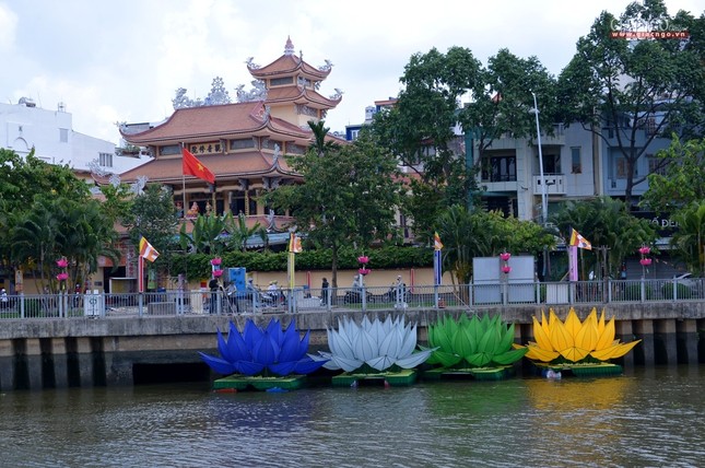 Ha thuy 7 doa sen - QATV (13).jpg