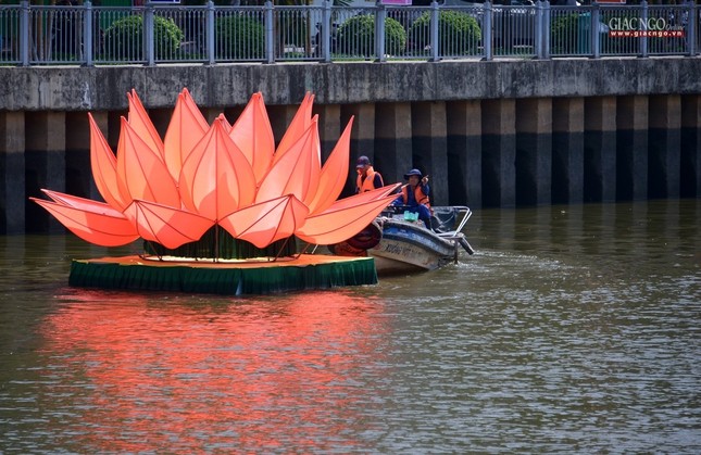 Ha thuy 7 doa sen - QATV (14).jpg