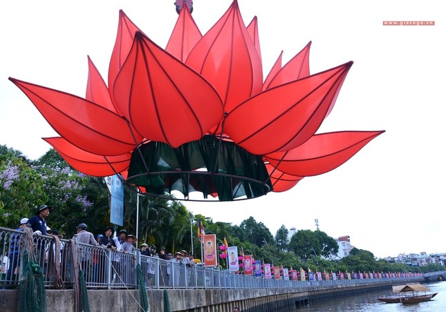 Ha thuy 7 doa sen - QATV (8).jpg