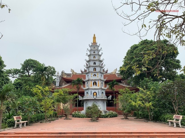 image1.jpg