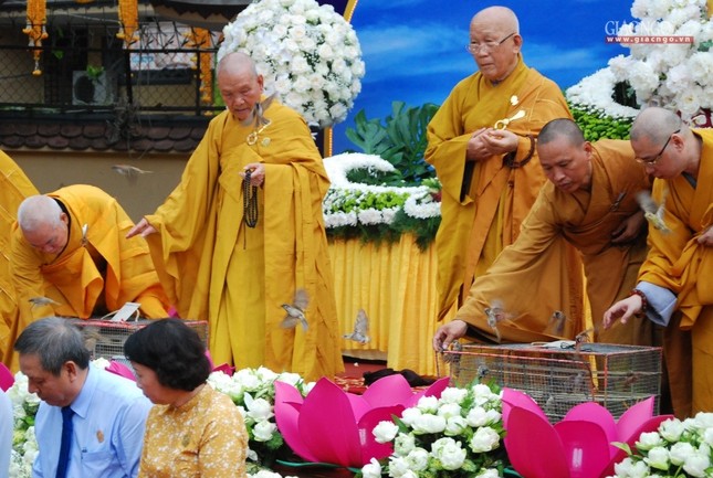 Phật giáo Q.Phú Nhuận tổ chức Đại lễ Phật đản ảnh 7 H11.jpg