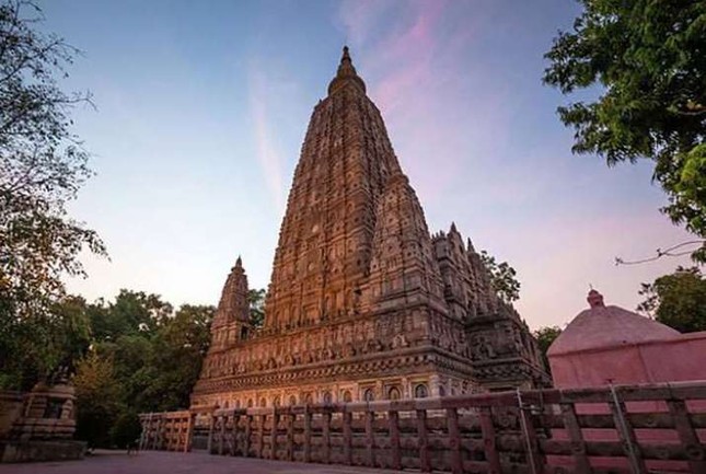 bo de dao trang - Mahabodhi.jpg