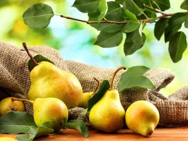 Lợi ích sức khỏe tuyệt vời từ quả lê ảnh 1 quale.jpg