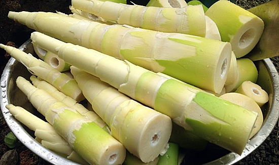 Ăn măng không đúng cách dễ bị ngộ độc ảnh 1 Không ăn măng sống để hạn chế nguy cơ nhiễm độc chất. Ảnh: Health