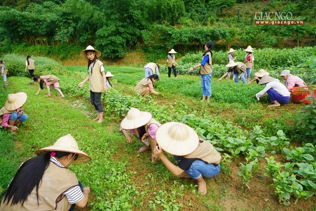 Làm vườn 1 - Ảnh Đình Khoa.jpg