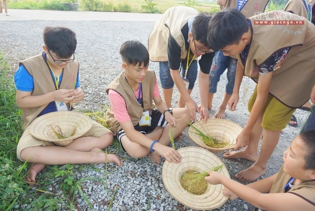 Tách vỏ trấu sau khi mót lúa tại khóa tu Trúc Hạ Vươn Mình 2019- Ảnh Đình Khoa.jpg
