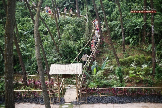 Thiền hành buổi sáng sớm tại khóa tu Trúc Hạ Vươn Mình - ảnh Đức Vinh.jpg