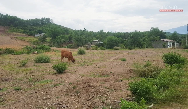 Vùng đất sẽ XD Tu viện Tánh Minh- GNO.jpg