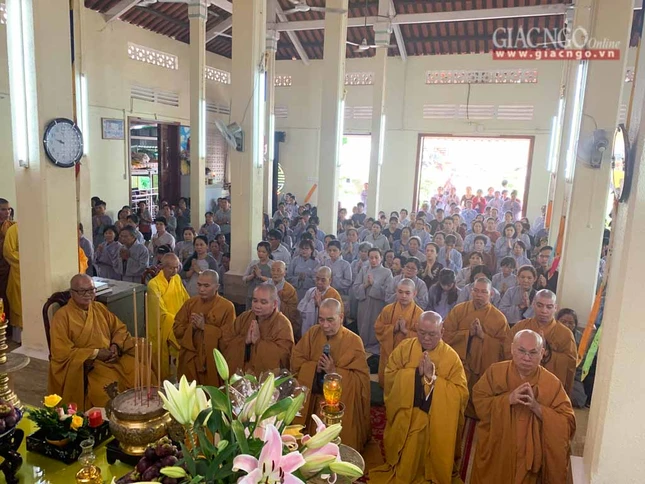 AQuang (8 of 12).jpg