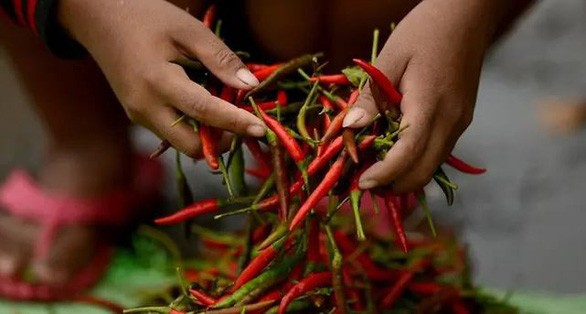 Ăn cay có thể làm tăng nguy cơ mất trí nhớ ảnh 1 an-cay-1564128054385432762628_jpg.jpg