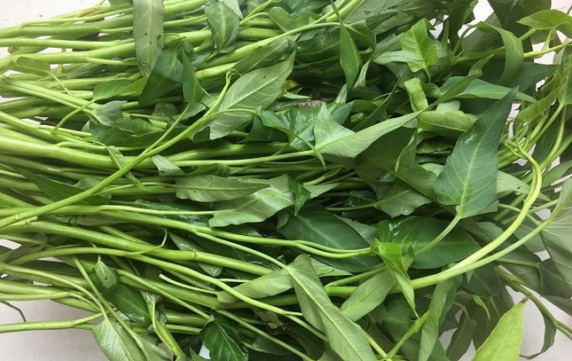 Rau muống. Ảnh: Cẩm Anh rau-muong-3143-1564042651_jpg.jpg