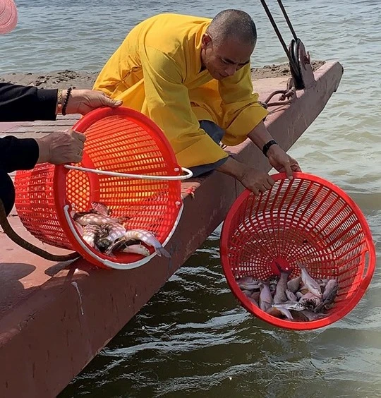 TT Quy phong sanh ca ve song     Tien.jpg